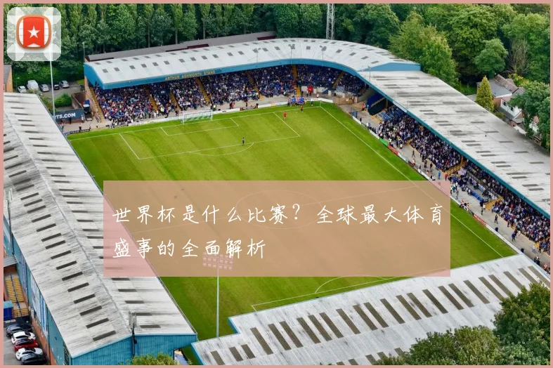 世界杯是什么比赛？全球最大体育盛事的全面解析