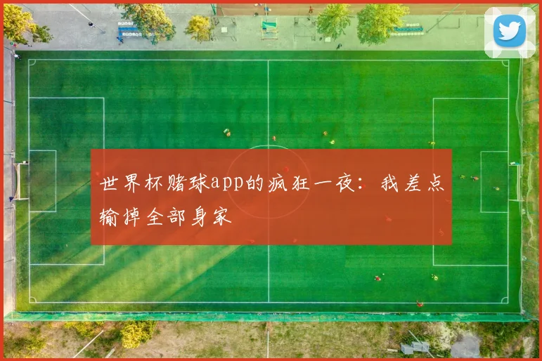 世界杯赌球app的疯狂一夜：我差点输掉全部身家