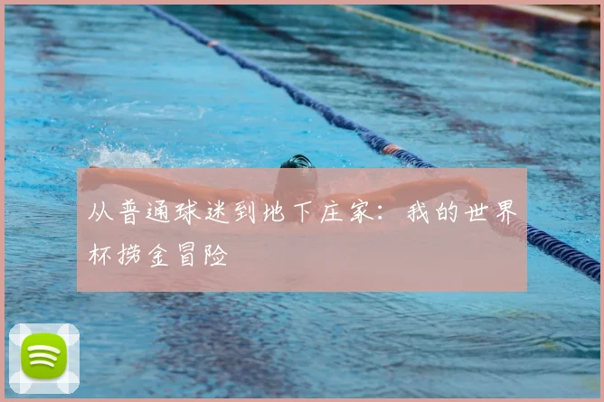 从普通球迷到地下庄家：我的世界杯捞金冒险